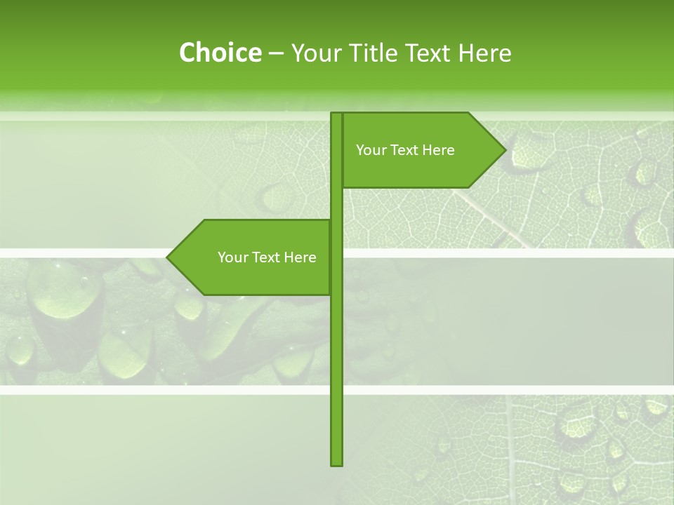 Grassland Dew Texture PowerPoint Template