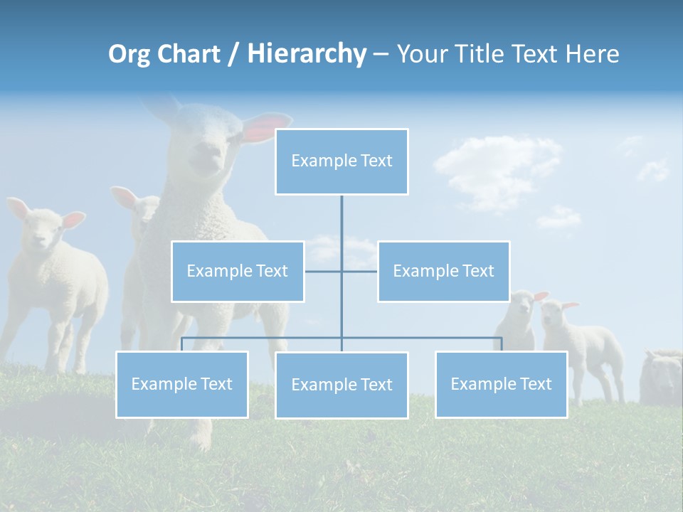 White Grass Naive PowerPoint Template