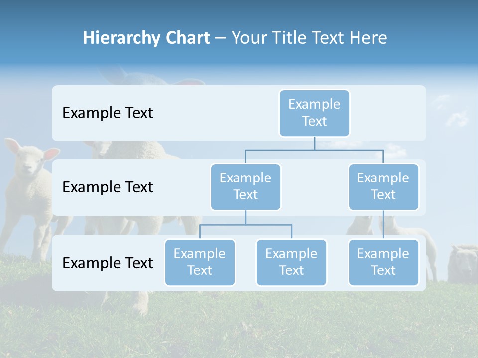 White Grass Naive PowerPoint Template