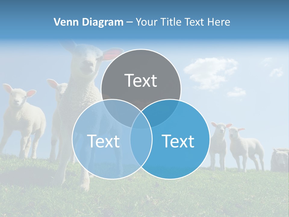 White Grass Naive PowerPoint Template