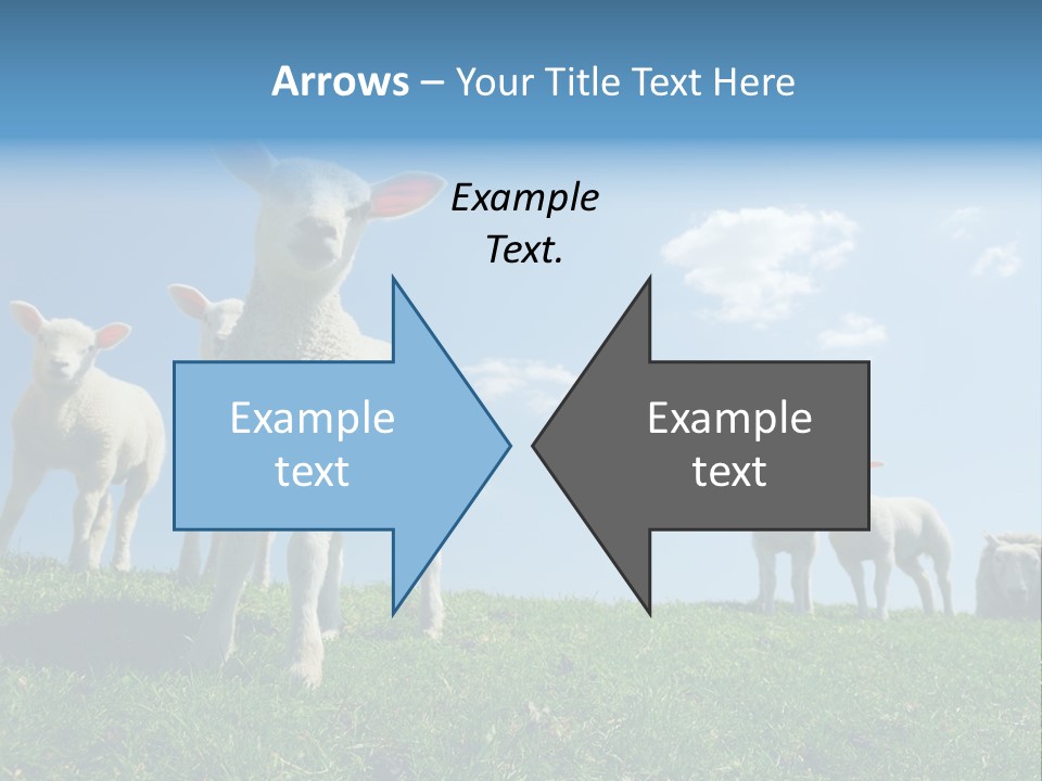 White Grass Naive PowerPoint Template