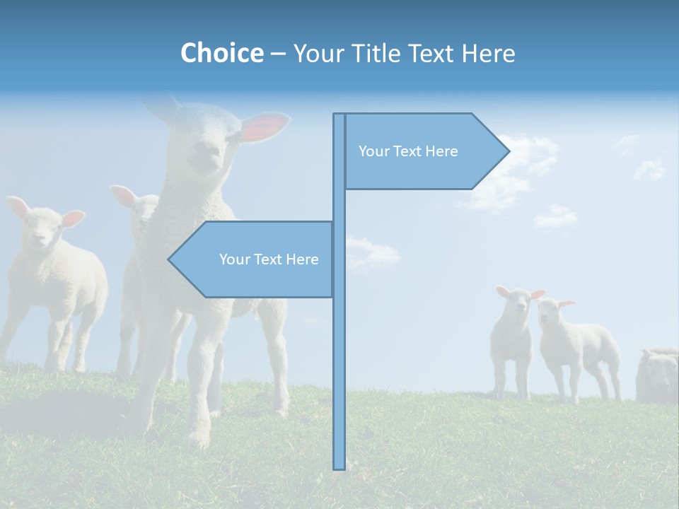 White Grass Naive PowerPoint Template