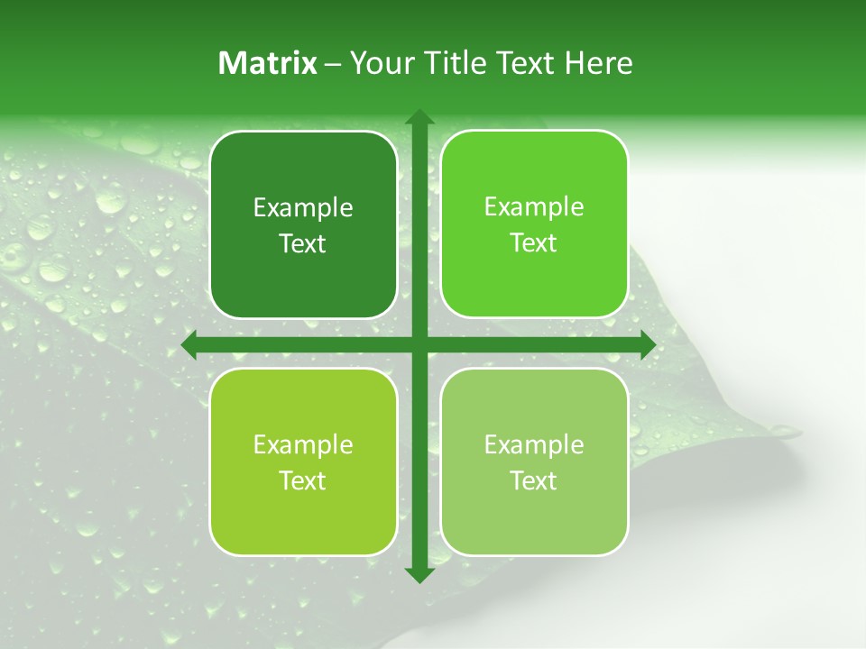 Drop Reflections Dewdrop PowerPoint Template