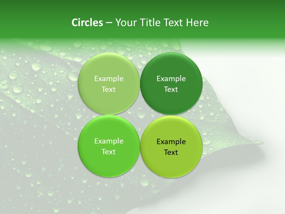 Drop Reflections Dewdrop PowerPoint Template