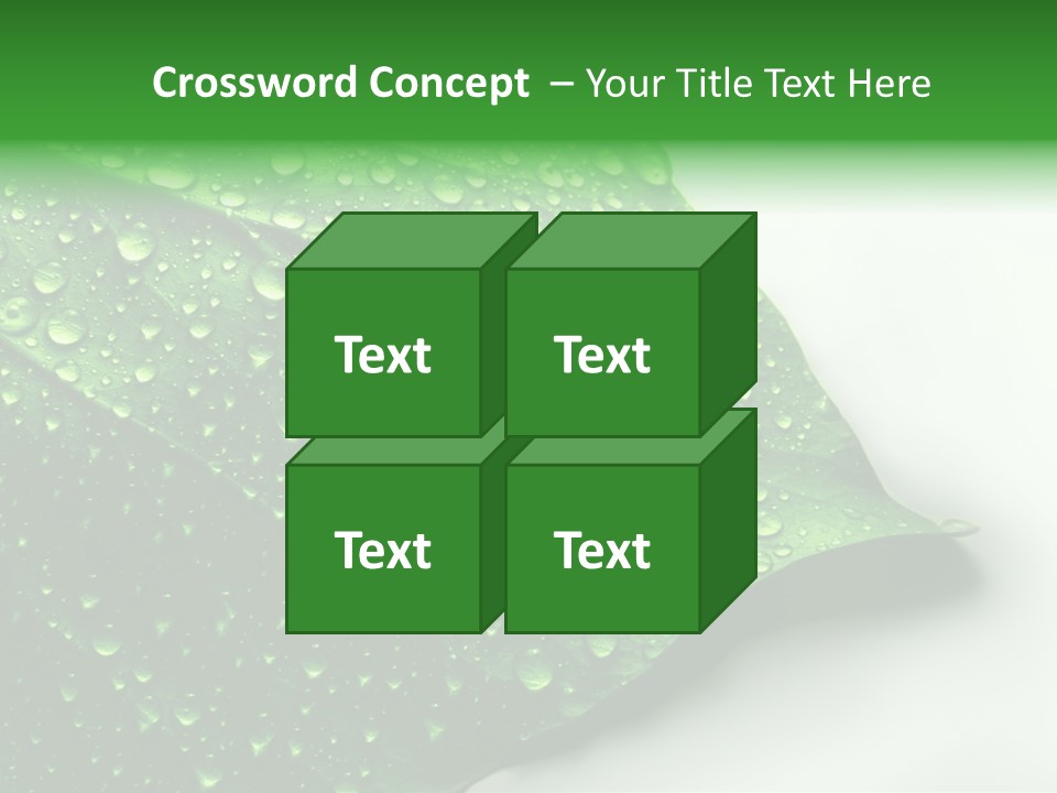 Drop Reflections Dewdrop PowerPoint Template