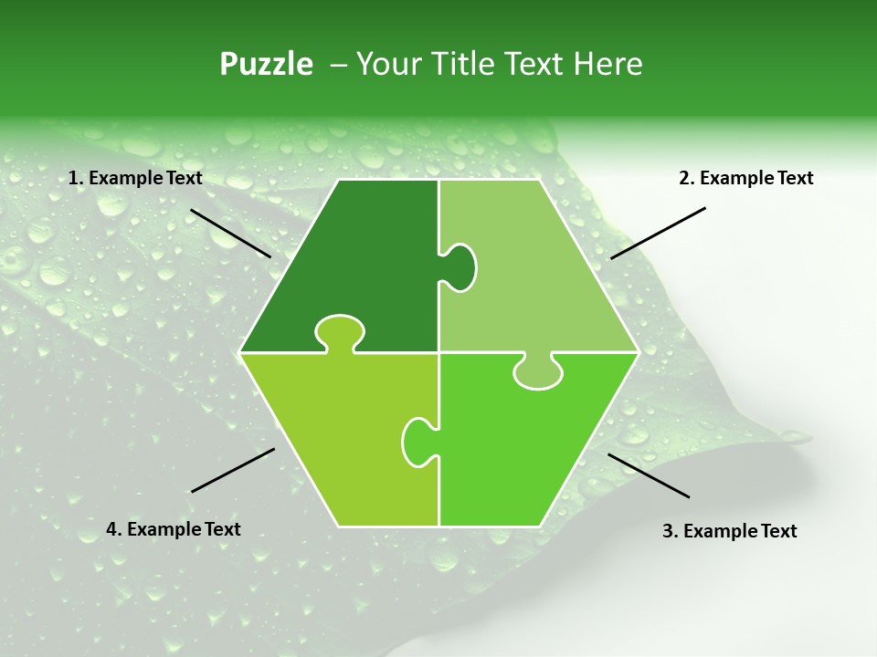 Drop Reflections Dewdrop PowerPoint Template