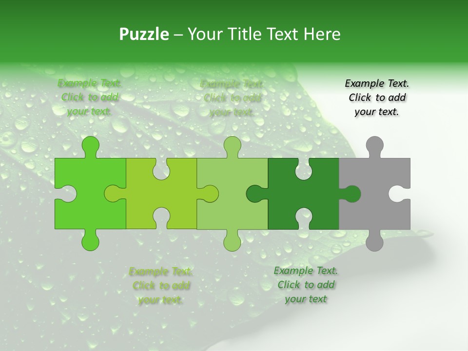 Drop Reflections Dewdrop PowerPoint Template