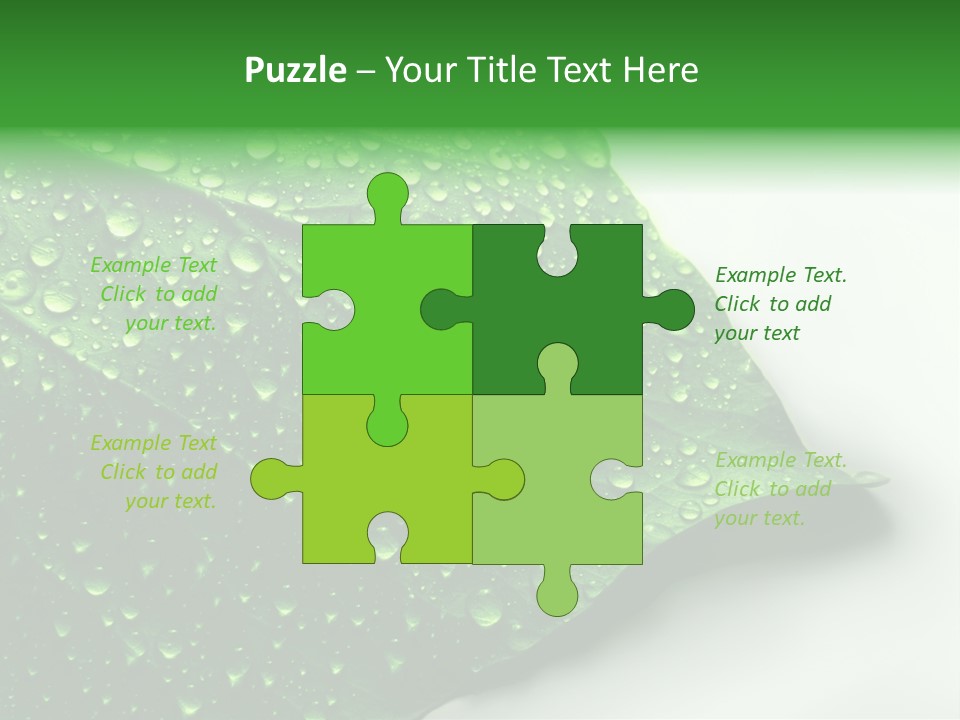 Drop Reflections Dewdrop PowerPoint Template