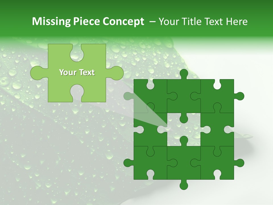 Drop Reflections Dewdrop PowerPoint Template