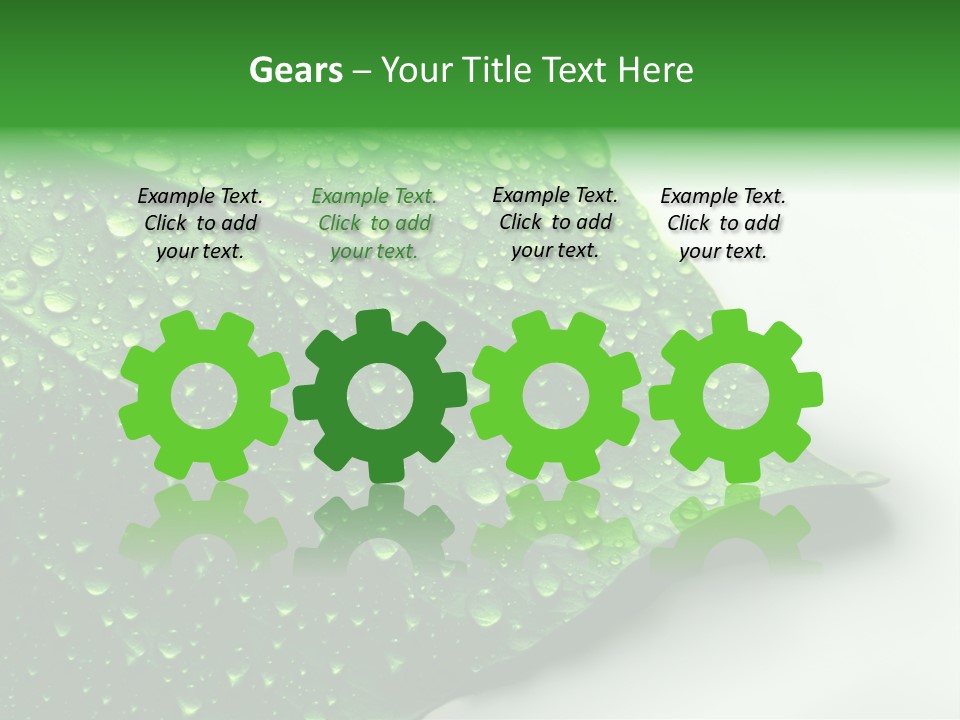 Drop Reflections Dewdrop PowerPoint Template