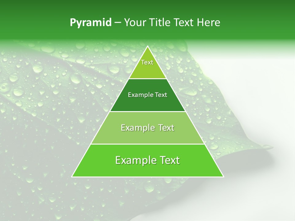 Drop Reflections Dewdrop PowerPoint Template