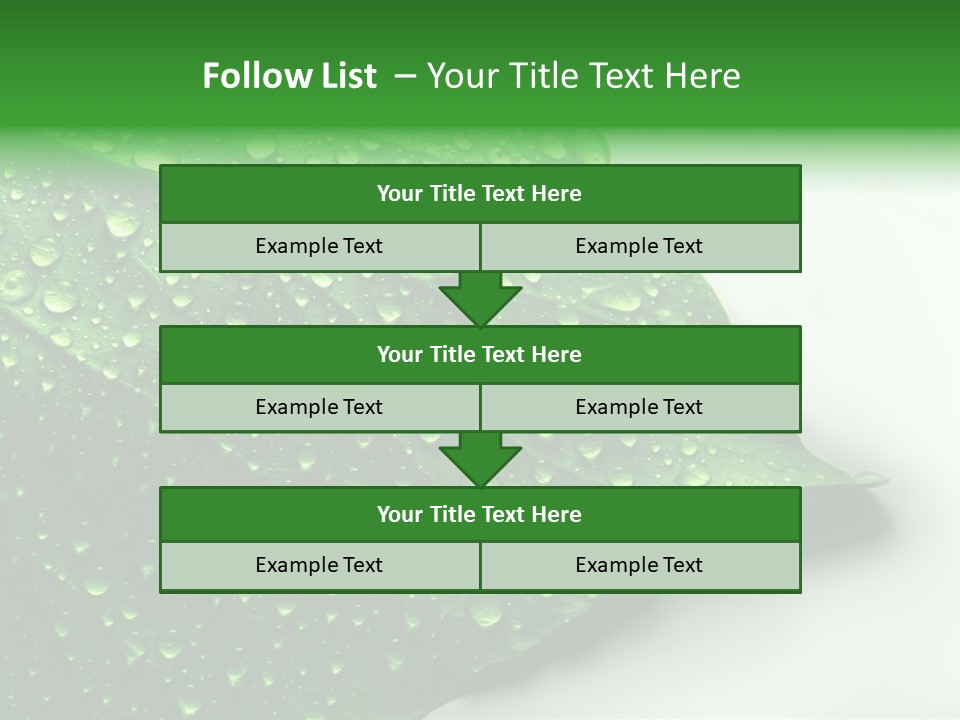 Drop Reflections Dewdrop PowerPoint Template