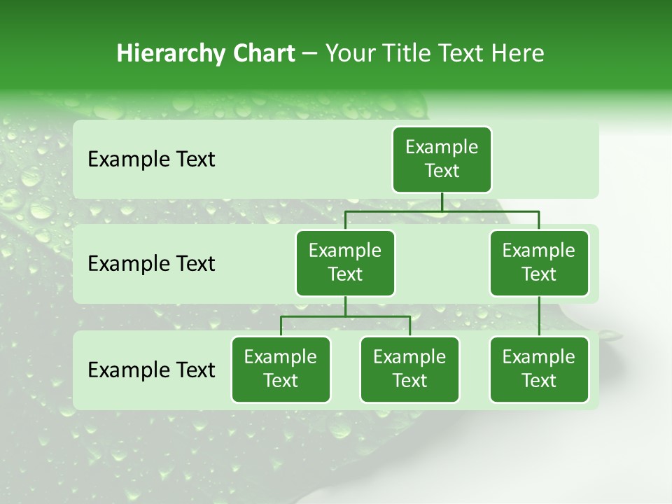 Drop Reflections Dewdrop PowerPoint Template