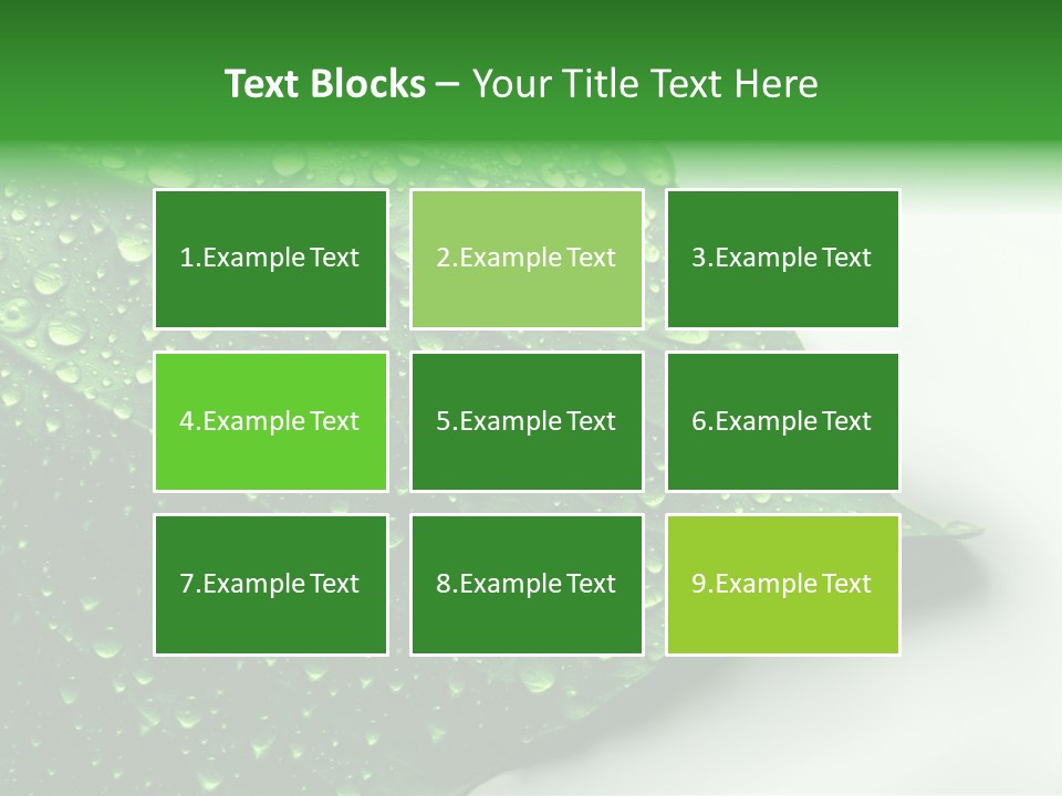 Drop Reflections Dewdrop PowerPoint Template