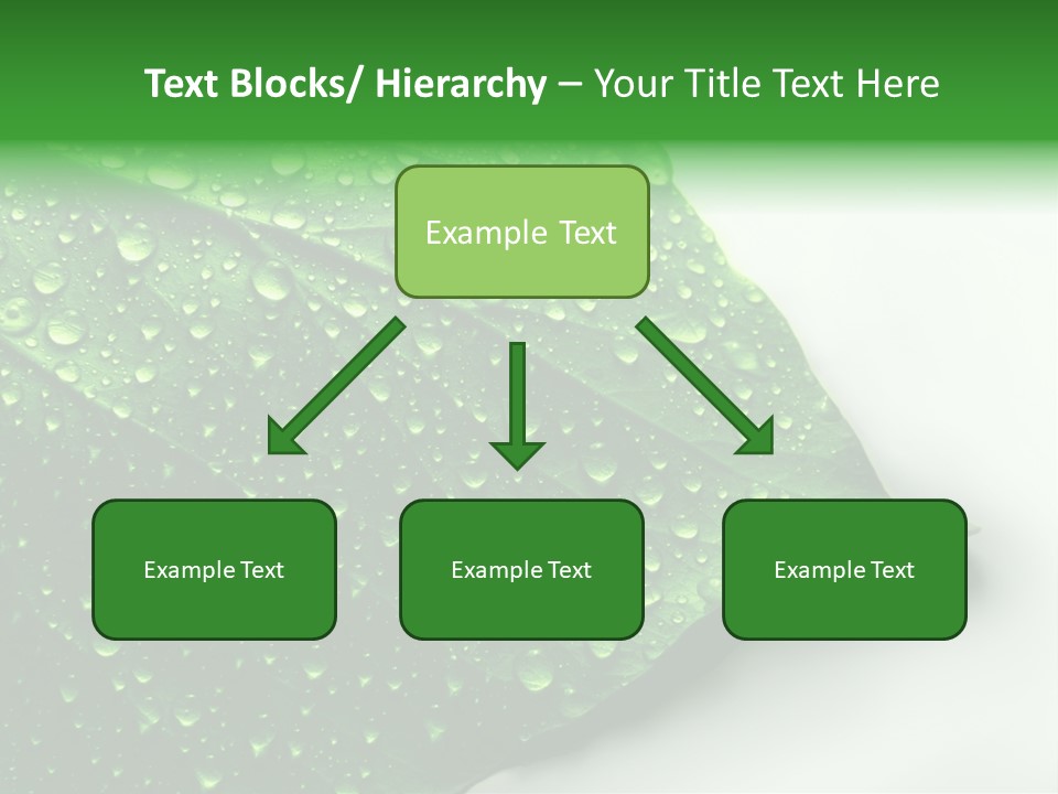 Drop Reflections Dewdrop PowerPoint Template