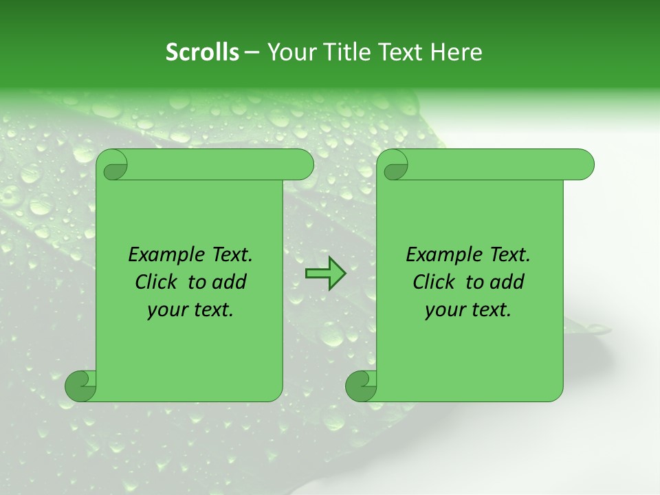 Drop Reflections Dewdrop PowerPoint Template