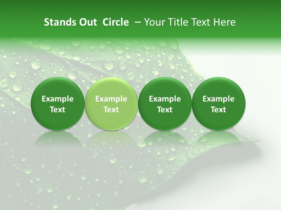 Drop Reflections Dewdrop PowerPoint Template