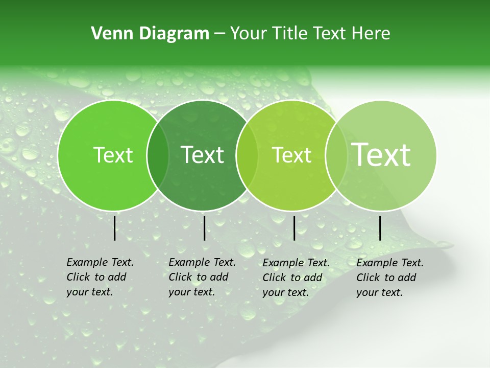 Drop Reflections Dewdrop PowerPoint Template