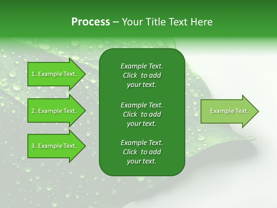 Drop Reflections Dewdrop PowerPoint Template