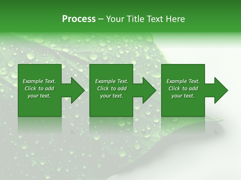 Drop Reflections Dewdrop PowerPoint Template