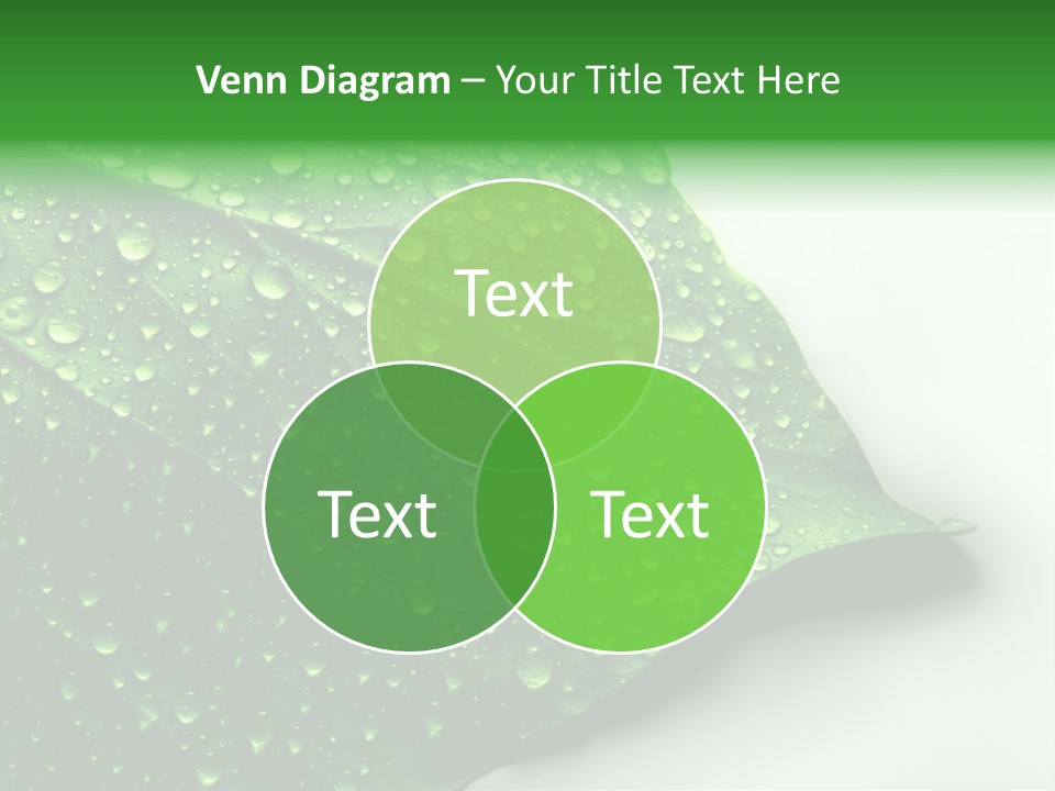 Drop Reflections Dewdrop PowerPoint Template