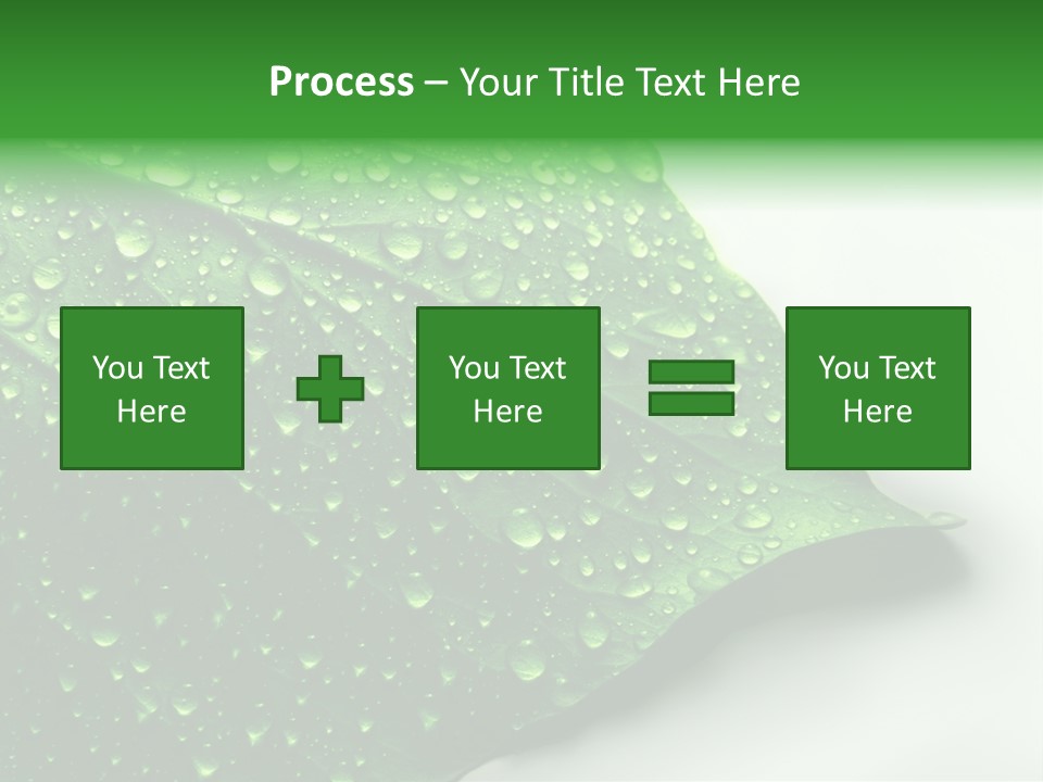 Drop Reflections Dewdrop PowerPoint Template