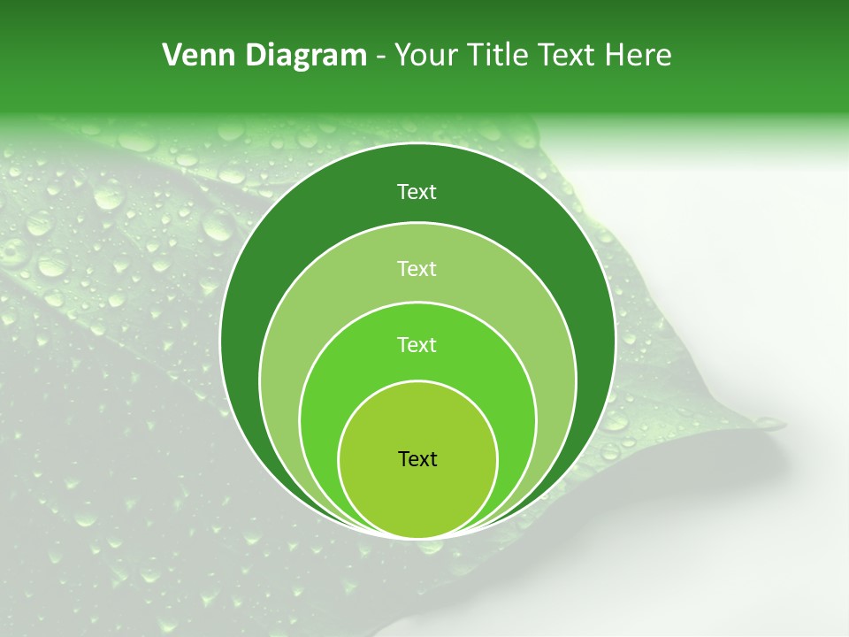 Drop Reflections Dewdrop PowerPoint Template