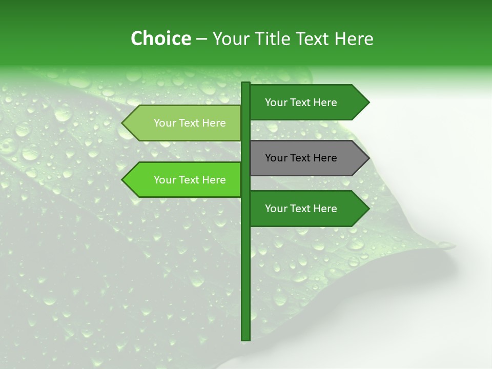 Drop Reflections Dewdrop PowerPoint Template