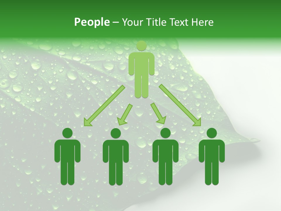 Drop Reflections Dewdrop PowerPoint Template