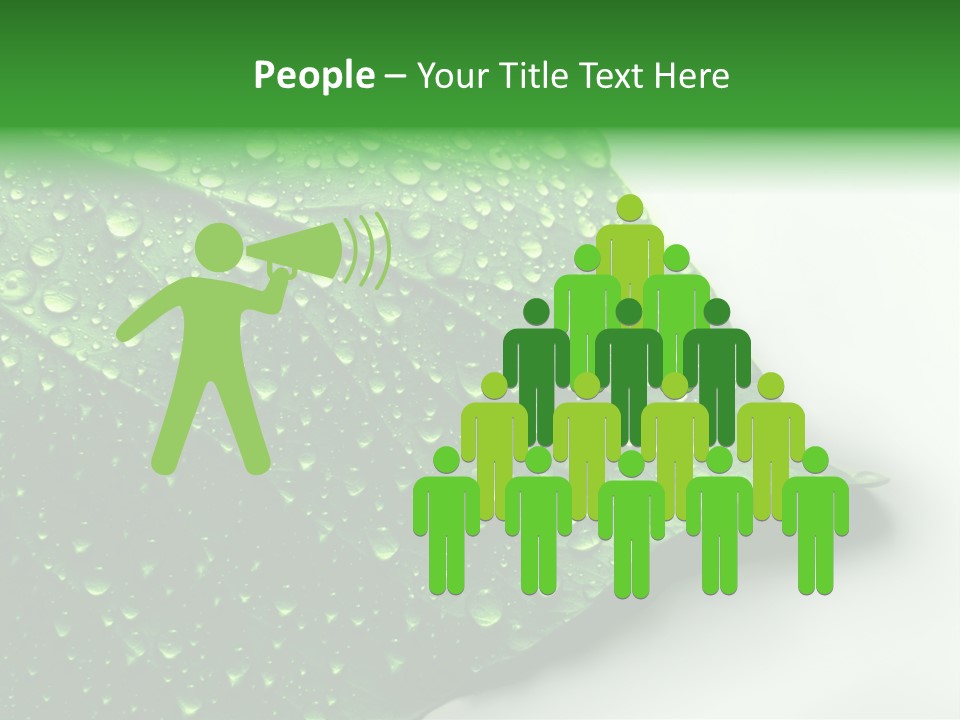 Drop Reflections Dewdrop PowerPoint Template