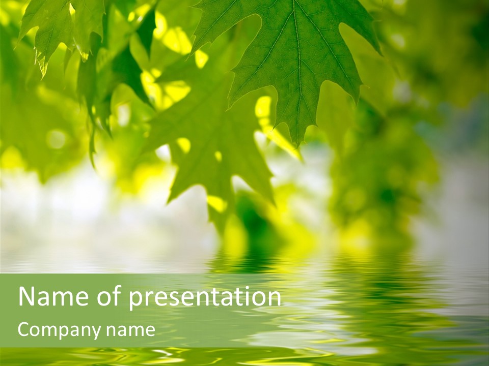 Summer Botany Outdoors PowerPoint Template