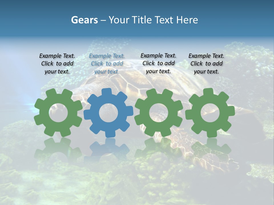 A Turtle Swimming In The Ocean Powerpoint Template PowerPoint Template