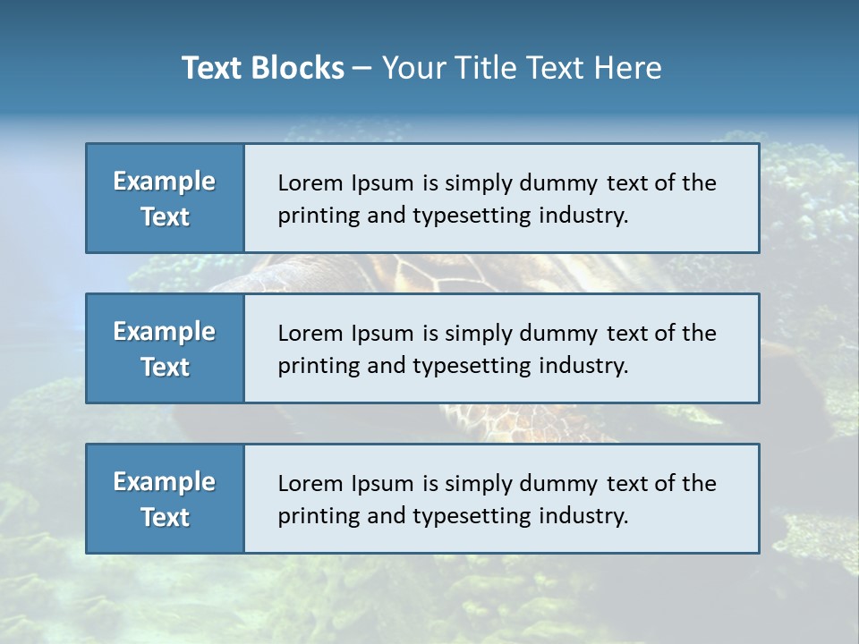 A Turtle Swimming In The Ocean Powerpoint Template PowerPoint Template