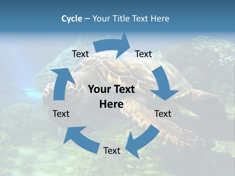 A Turtle Swimming In The Ocean Powerpoint Template PowerPoint Template