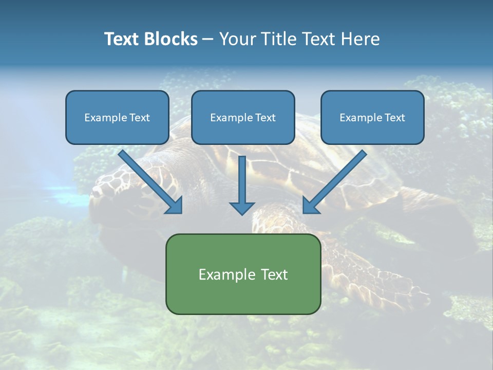 A Turtle Swimming In The Ocean Powerpoint Template PowerPoint Template