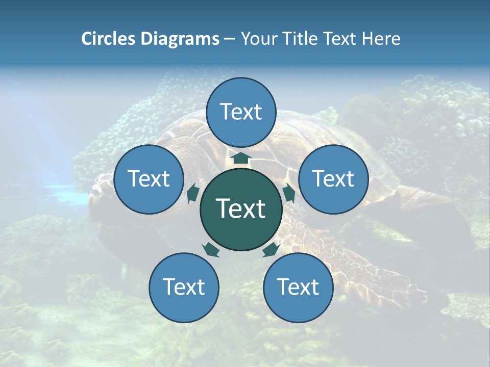 A Turtle Swimming In The Ocean Powerpoint Template PowerPoint Template