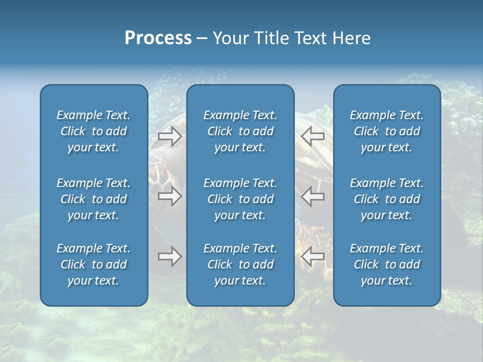 A Turtle Swimming In The Ocean Powerpoint Template PowerPoint Template