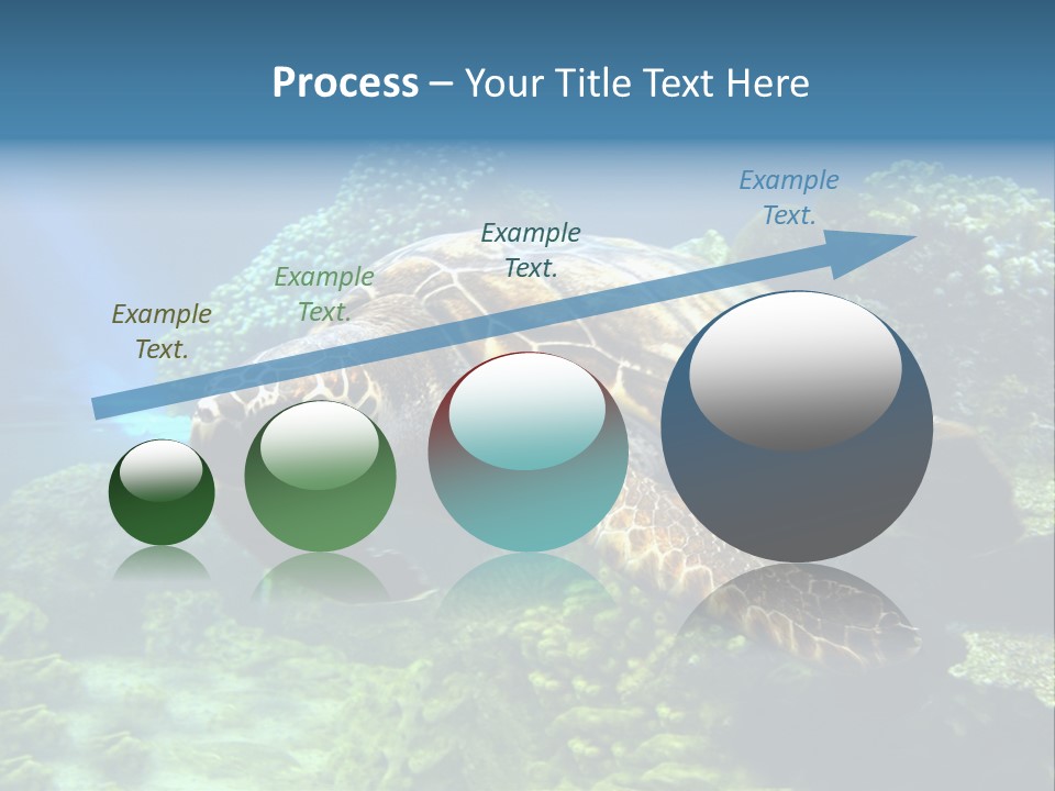 A Turtle Swimming In The Ocean Powerpoint Template PowerPoint Template