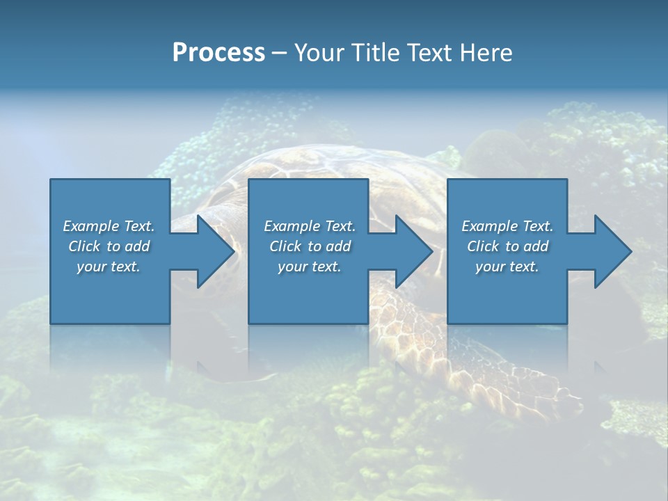 A Turtle Swimming In The Ocean Powerpoint Template PowerPoint Template
