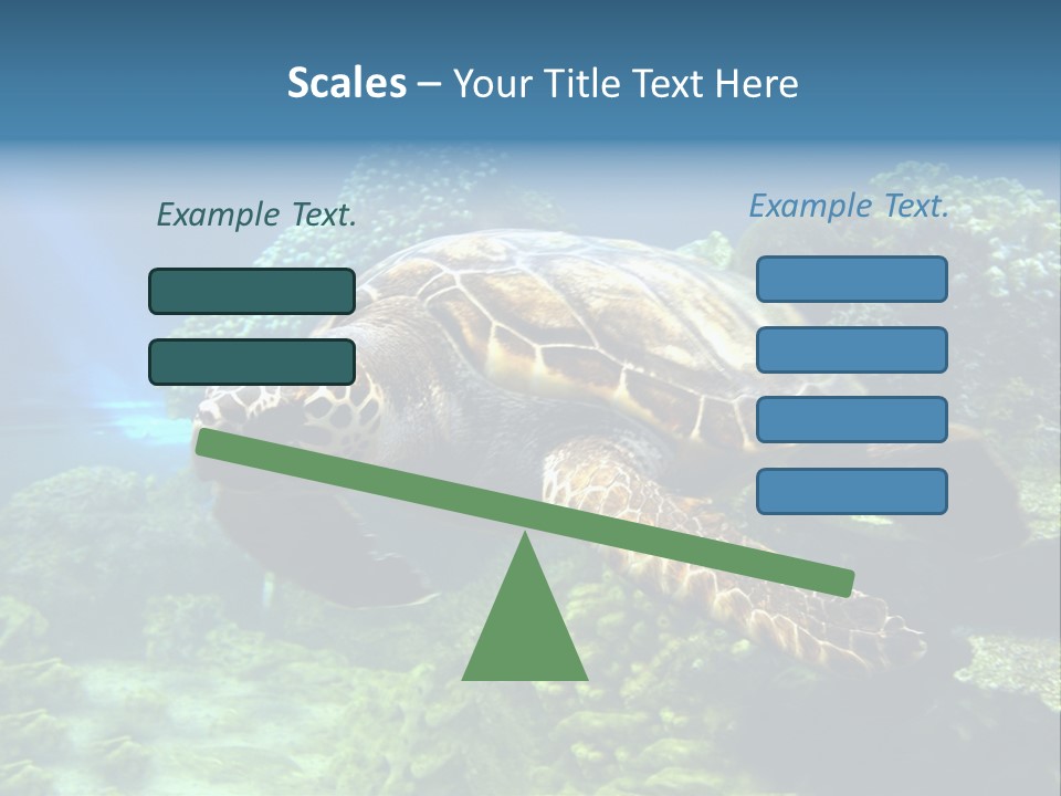 A Turtle Swimming In The Ocean Powerpoint Template PowerPoint Template