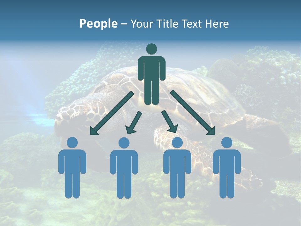 A Turtle Swimming In The Ocean Powerpoint Template PowerPoint Template