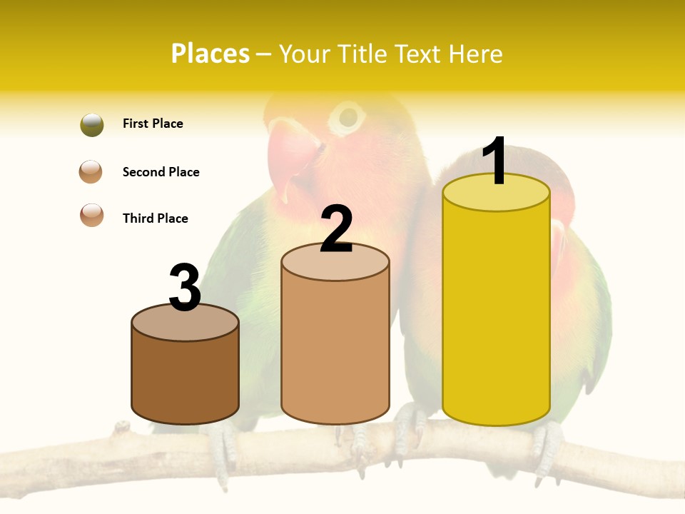Pair Red Bird PowerPoint Template