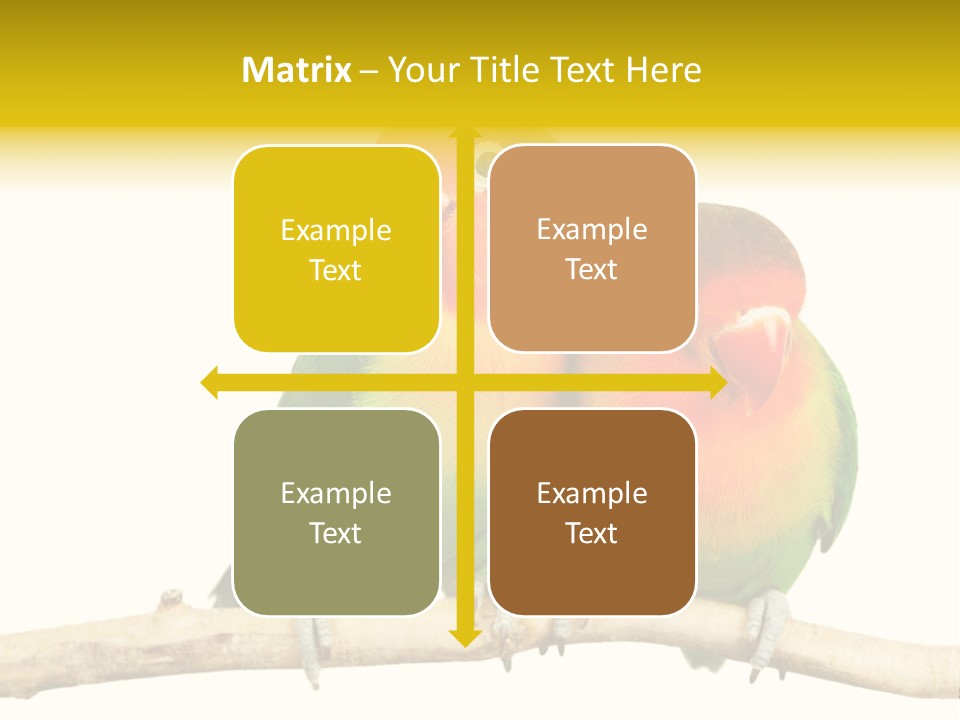 Pair Red Bird PowerPoint Template