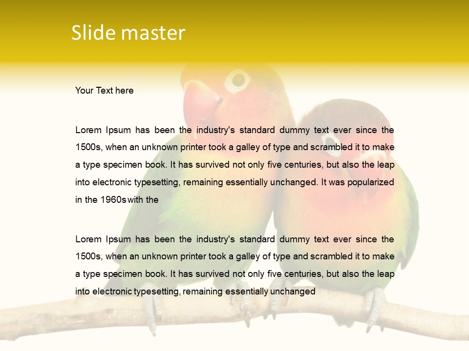 Pair Red Bird PowerPoint Template