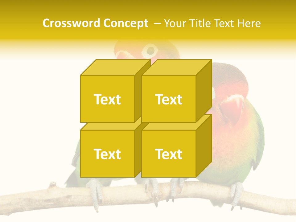Pair Red Bird PowerPoint Template