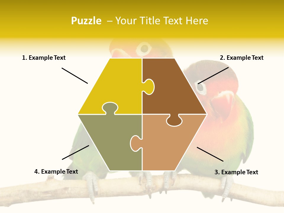 Pair Red Bird PowerPoint Template