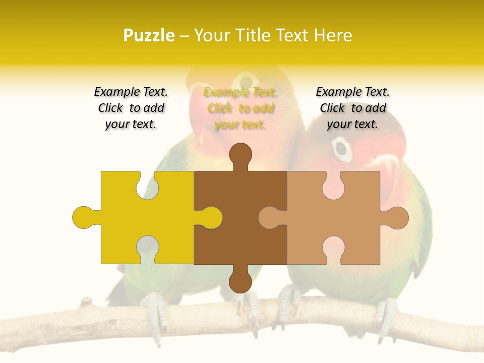 Pair Red Bird PowerPoint Template