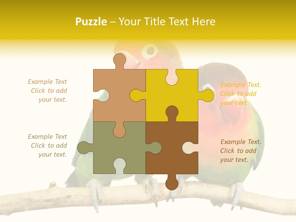 Pair Red Bird PowerPoint Template