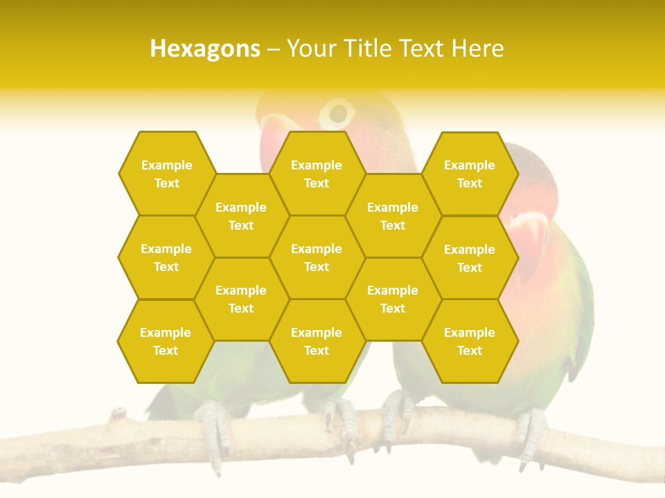 Pair Red Bird PowerPoint Template