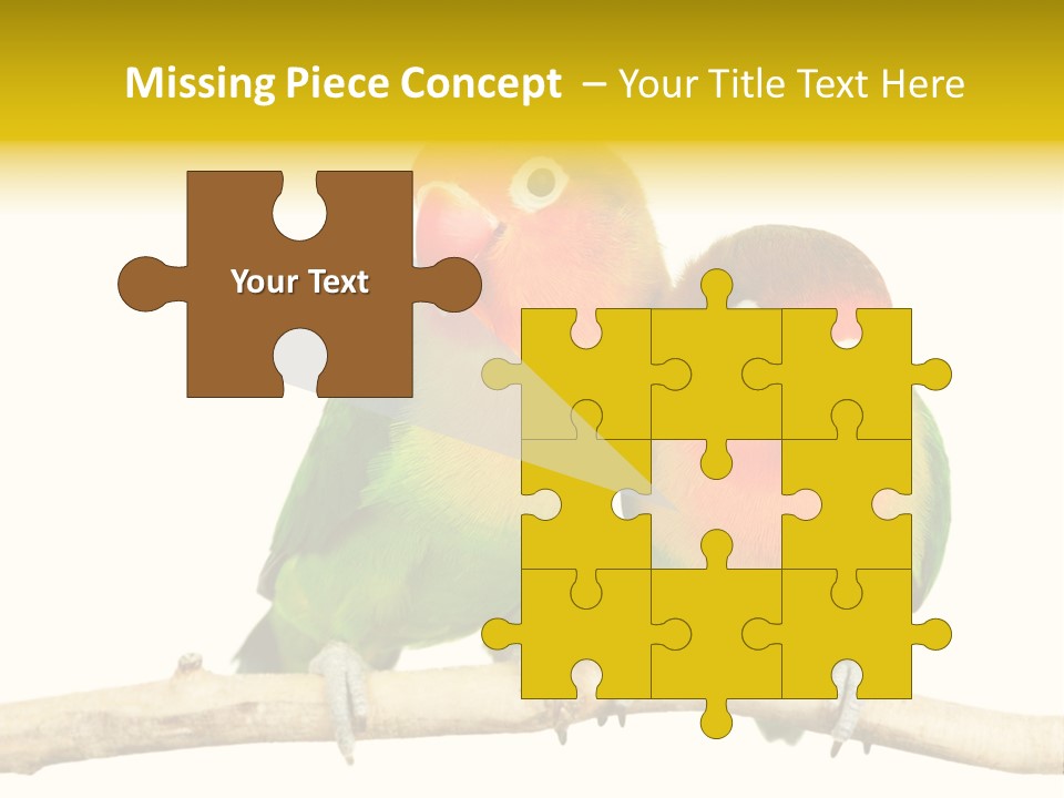 Pair Red Bird PowerPoint Template